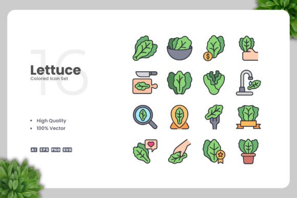 Lettuce Colored Icon: Fresh Graphics and Icons for Brands